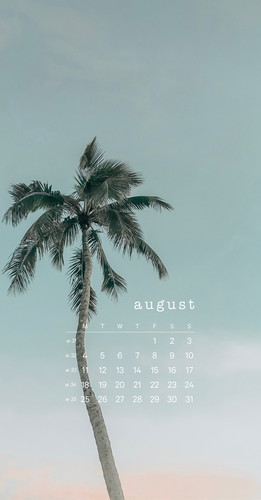 Handyhintergründe für August 2025 mit Kalender